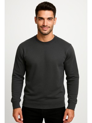 Axxel Erkek Füme SWEATSHIRT-W1083-F1