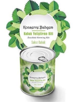 Buffer® Konserve Bahçem Evde Konservede Sakız Kabak Yetiştirme Kiti