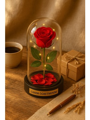 Canım Öğretmenim Temalı  Öğretmene Hediye LED Işıklı Mika Fanus Kırmızı Yapma Solmayan Gül