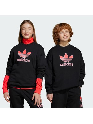 Adidas Originals JV7780 Trefoil Crew Çocuk