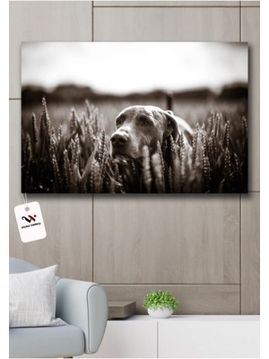 Gülsen Art Masum Hd Baskı Kanvas Tablo Hd Dijital Baskı Yatay Kanvas Tablo Dekoratif
