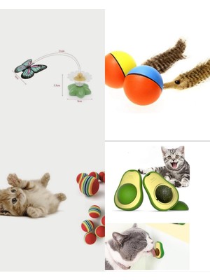 Merim Kedi Oyuncak Seti 4'lü