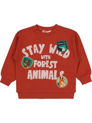 Civil Boys Stay Wıld Anımal Baskılı 2-5 Yaş Sweatshirt