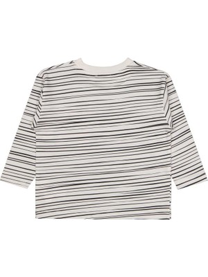 Civil Boys Çizgili Canavar Baskılı 2-5 Yaş Sweatshirt