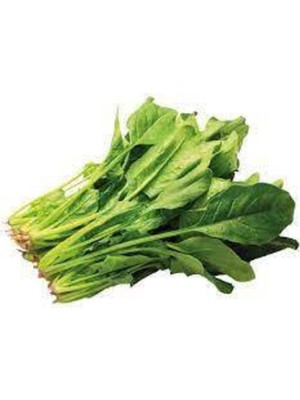 Tohumcumm 50 Adet Tohum Yerli Ispanak Tohumu Sürpriz Hediye Tohum Byeşil Ispanak Tohumludur