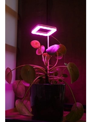 Bitki LED Lamba 5V USB Pembe Renk Tam Spektrumlu Kare Bitki Yetiştirme Işığı 8W Özellikli