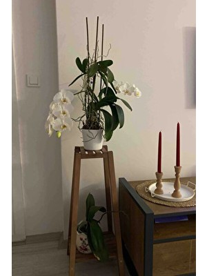 Moola 2 Katlı Ahşap Çiçeklik ,  Ahşap Saksılık ,  Çiçek Standı , Çok Amaçlı Katlı Raf