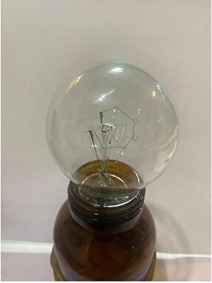 OEM 5 Adet Ampul 100W Flamanlı