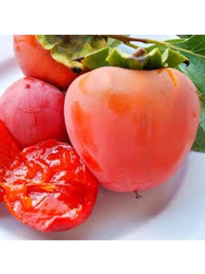 Tohumcumm 5 Adet Tohum Trabzon Hurması Tohumu Hatay Siyah Hurma Yaş Hurma Tohumu Sürpriz Hediye Tohum