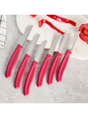 Aryıldız Mira 6 Parça Meyve Bıçak Seti Bordo