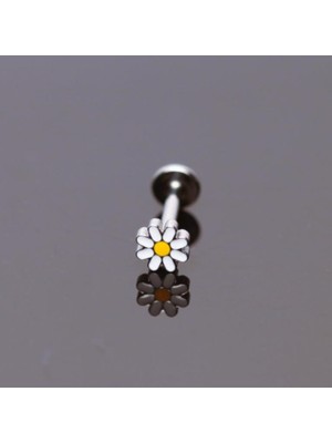 Aida Jewelss Yüksek Kalite G23 Titanium Papatya Titanyum 6x1.2mm Labret Piercing