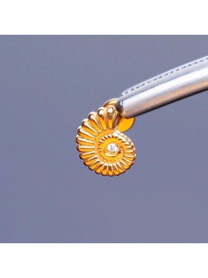 Aida Jewelss Yüksek Kalite G23 Titanium Salyangoz Zirkon Altın Titanyum 6x1.2mm Labret Piercing