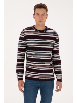 U.S. Polo Assn. Erkek Comfort Fit Bisiklet Yaka Mürdüm Kazak 50308332-VR074