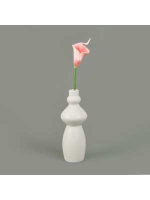 Dal Gala Çiçeği - Asorti - 33 cm