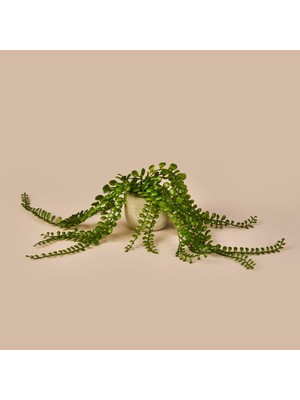 Objevi Sarkan Saksılı Yapay Çiçek - Gri / Yeşil - 13 cm