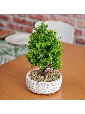 Objevi Dekoratif Çakıl Ağaç