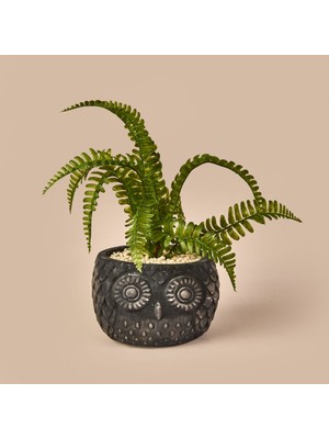 Objevi Saksılı Yapay Çiçek - Siyah / Yeşil - 29 cm
