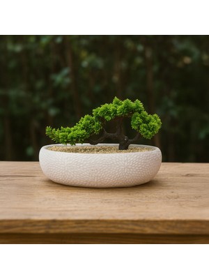 Objevi Desenli Elips Saksıda Bonsai - Renkli - 24X33 cm