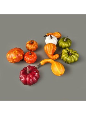 Kpm 9'lu Dekoratif Köpük Kabaklar - Renkli
