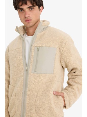 DeFacto Regular Fit Dik Yaka Fermuarlı İç Cepli Pelüş Mont E9241AX25WN