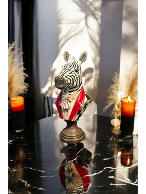 Dekoratif Ceketli Zebra Biblo
