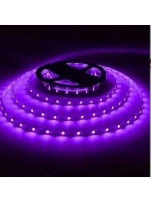 Mor Işık 4040 5 mt 12 V Şerit LED Helios Opto