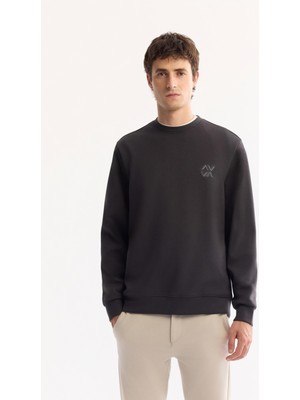 AVVA Erkek Antrasit Bisiklet Yaka Pamuklu Bi-Stretch Basic Regular Fit Sweatshirt A52Y1328