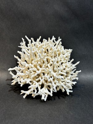 Gemsartdeco Ince Dal Mercan