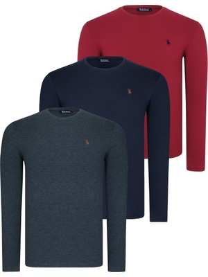 Üçlü Set T8588 Dewberry Yuvarlak Yaka Erkek Sweatshırt-Lacivert-Antrasit-Bordo