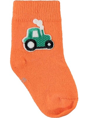 Civil Baby Erkek Bebek Aksesuarlı Sarı-GD1 Çorap %77 Pamuk 2'li Paket 16-18 Ay