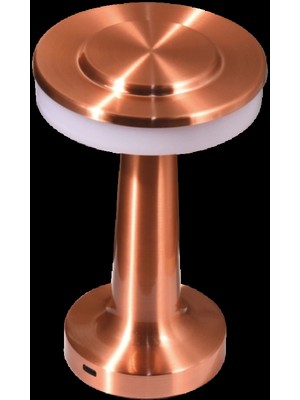 Selfbuysell Cata Ct 8435 Oslo Dokunmatik USB Sarjlı Masa Lambası