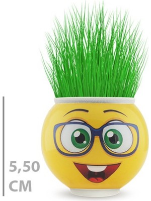 Çim Adam Saksı Emoji Figürlü 1 Adet