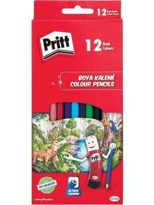 12'li Uzun Kuru Boya Kalemi, 12 Renk