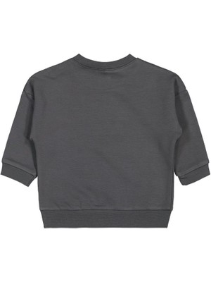 Civil Baby Teddy Baskılı 6-18 Ay Sweatshirt