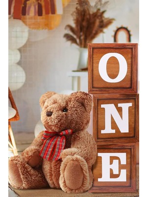 Mena Rise Gitti One Yazılı Kutu ve Balon Seti - 1 Yaş Doğum Günü Kutlama (Ahşap)
