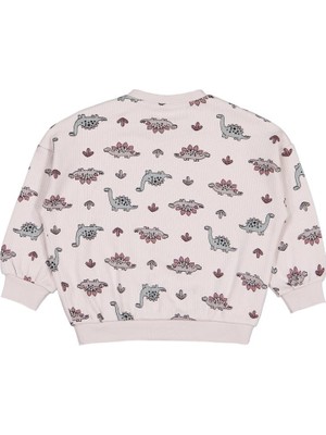 Civil Baby Adventurous Dino Empirme 6-18 AY Sweatshirt - Bej 9-12 Ay