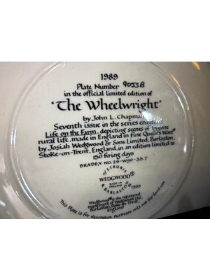 TT 1989 Wedgwood Porselen Duvar Tabağı 20 cm Çapında