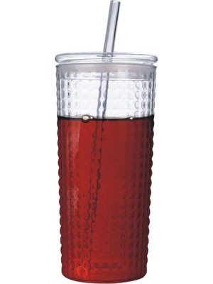 Mena Rise Desenli Borosilikat Cam, 550ML, Kapaklı ve Pipetli, Soğuk Içecekler Için