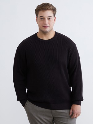 Lc Waikiki Yeni Sezon Bisiklet Yaka Erkek Triko Kazak