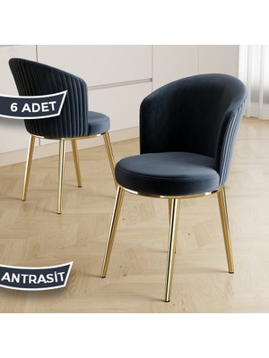 Canisa Risa Serisi 6 Adet Antrasit Mutfak Sandalyesi Gold Kaplama Metal Ayak 1. Sınıf Babyface Kumaş