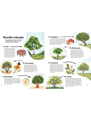 Mena Rise The World In 80 Trees