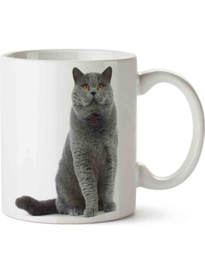 Kedi Seni Seviyorum Love Porselen Kupa Bardak
