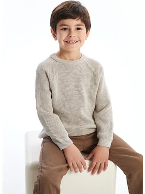 Lc Waikiki Yeni Sezon Bisiklet Yaka Erkek Bebek Triko Kazak