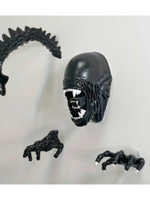 Yaratıcı Sanatlar Atölyesi 3 Boyutlu Xenomorph Alien Duvar Heykeli Seti Büyük Boy 4 Parça Gerçekçi Duvar Heykeli