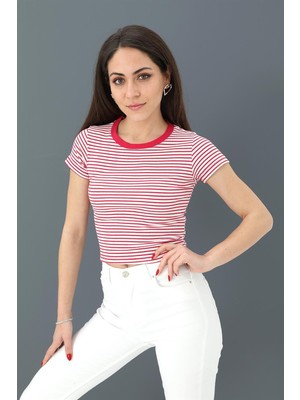Isawella Bluz Bisiklet Yaka Çizgili Kaşkorse - Mürdüm