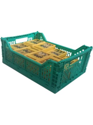 Agm Çok Amaçlı Yer Kaplamayan Katlanır Renkli Plastik Kasa - Sepet 27X17 cm