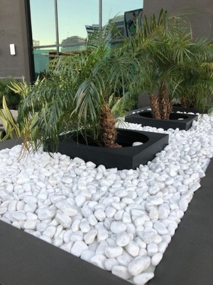 Topuzoğlu Beyaz Dolomit 25 Kg, 2-4 cm Dere Taşı Çakıl Taşı Bahçe Süs Taşı Dekoratif Taş