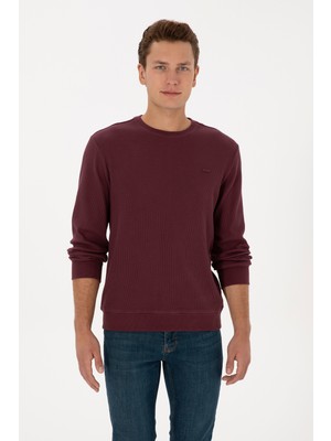 U.S. Polo Assn. Erkek Regular Fit Bisiklet Yaka Bordo Sweatshirt 50316390-VR177