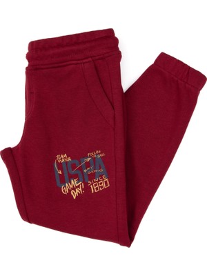 U.s. Polo Assn. Erkek Çocuk Bordo Eşofman Altı 50316602-VR014