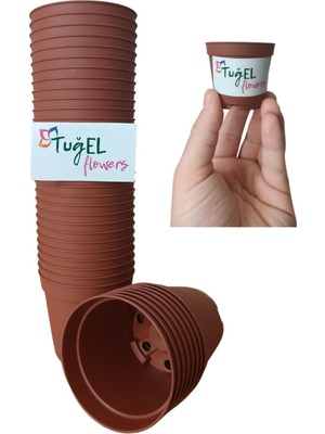 Tuğel Flowers 50 Adet Kaktüs&sukulent Üretim Saksısı (Mini Boy-5.5 Cm)